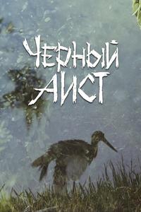 Черный аист