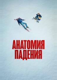 Анатомия падения
