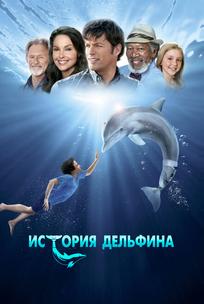 История дельфина