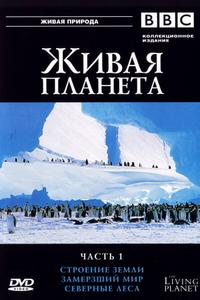 BBC: Живая планета