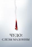 Чудо: Слезы Мадонны